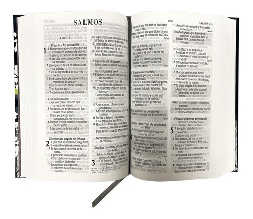 Biblia Rv1960 De Promesas Manual Tapa Dura Letra 12 Puntos