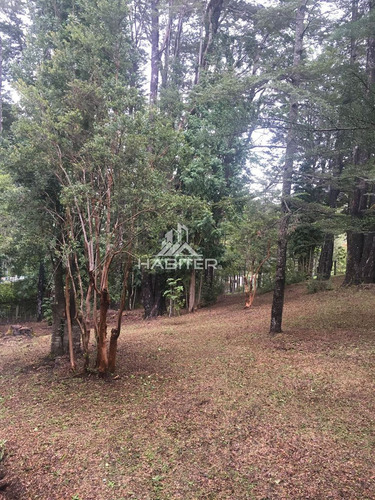Casa En Con Bosque Nativo Venta De 4 Dorm. En Caburga Pucón