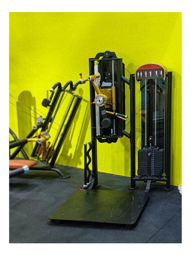 Máquina Triceps Y Biceps Entrenamiento Gym G-fitness