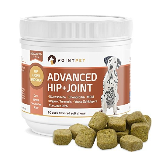 Pointpet Advanced Hip And Joint Supplement Para Perros Con G