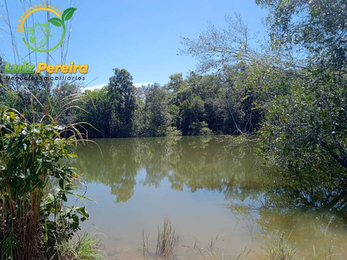 Imagem 4 de 9 de Fazenda À Venda Em Natividade - To- De 210 Alqueirões (pecuária) - 1743