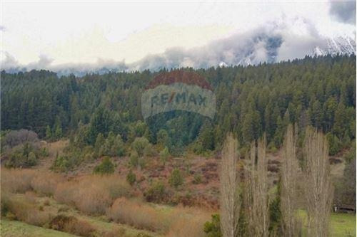 Lote 7,9 Ha Lago Puelo Increíbles Vistas