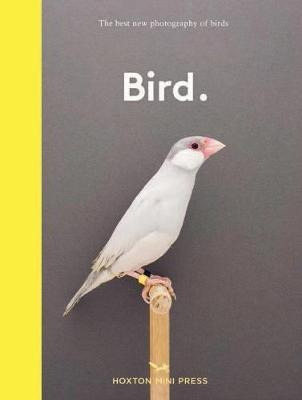 Bird. : The Best New Photography Of Birds - Hox (bestseller)