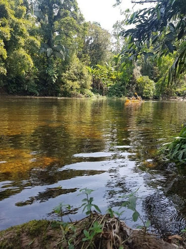 Imagem 13 de 20 de Belíssima Chácara Localizada Na Vila Santo Antônio Medindo 3.056,82m² Por R$283 Mil - Ch0168