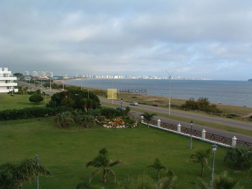 Imagen 28 de 30 de Venta De Casa De 4 Dormitorios En La Mansa, 7000 M2 De Terreno