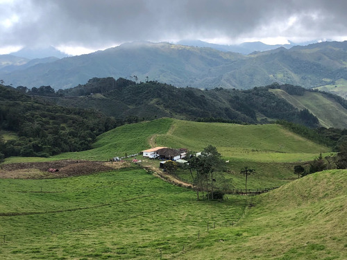 Imagen 1 de 21 de En Venta! Hermosa Finca Con Gran Terreno En Abejorral, Antioquia. 