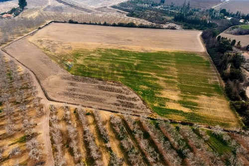  Oportunidad Única: Terreno De 9 Ha En Buin 