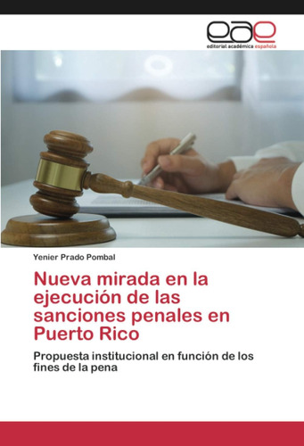 Libro: Nueva Mirada En La Ejecución De Las Sanciones Penales