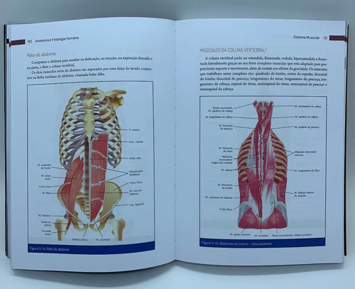 Livro Anatomia E Fisiologia Humana - Imagens Coloridas