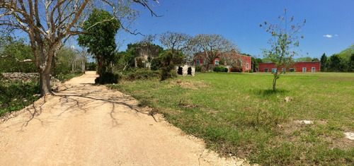 Imagen 2 de 8 de Venta De Terrenos En Hacienda Ticopó, Mérida