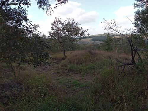 Imagem 17 de 30 de Terreno - A Venda - Valinhos - Te00313 - 69815166