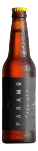 Cerveza Paramo Pale Ale 355ml