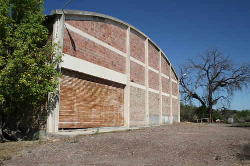 Bodega - Mendoza