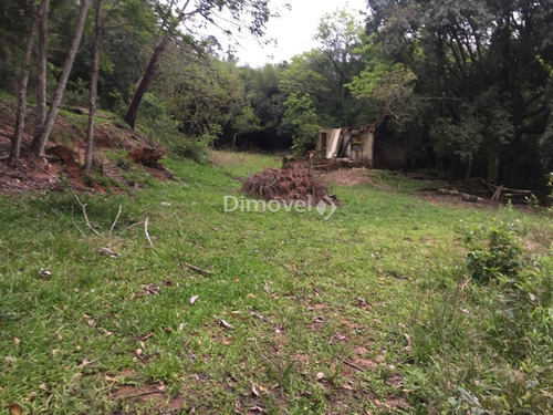 Imagem 6 de 13 de Sitio - Belem Velho - Ref: 21727 - V-21727