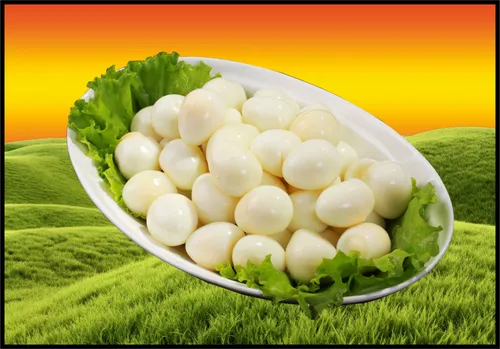 Huevos Codorniz 24 Unidades.