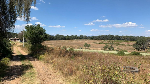 Imagen 4 de 13 de Venta De Terreno En San Martin Cachihuapan, Villa Del Carbón