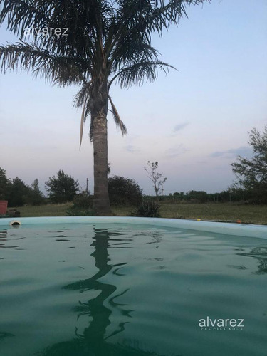 Imagen 10 de 14 de Venta Finca Uruguay