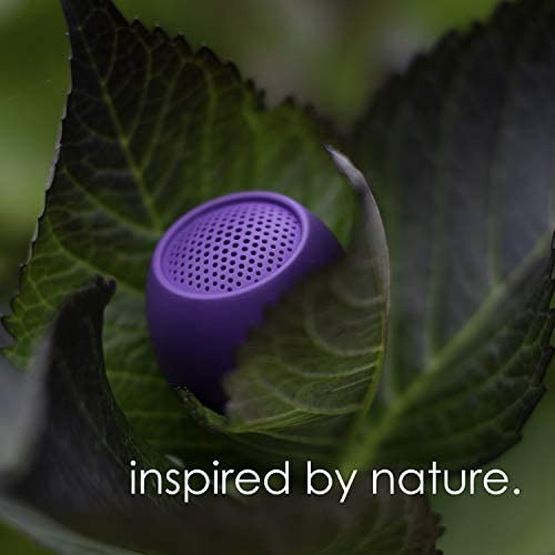 Boompods Zero Altavoz Bluetooth - Potentes Mini Altavoces A