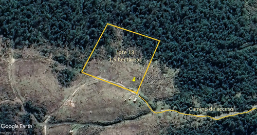 Venta Parcela 1,5 Hectáreas Con Vista Lago