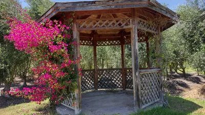 Parcela en venta
