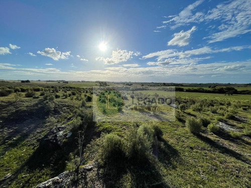Campo En Venta De 53 Has. Con Vivienda Y Arroyo, Prox Minas