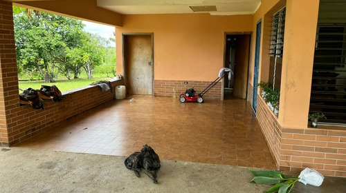 Imagen 17 de 25 de Bella Finca Operativa Ubicada En El Palmar, Estado Bolivar