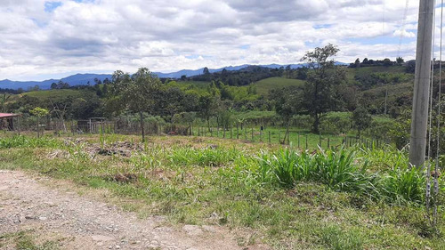 Imagen 9 de 15 de Venta Lote Esquinero -620 Mts2 - Julumito Popayan