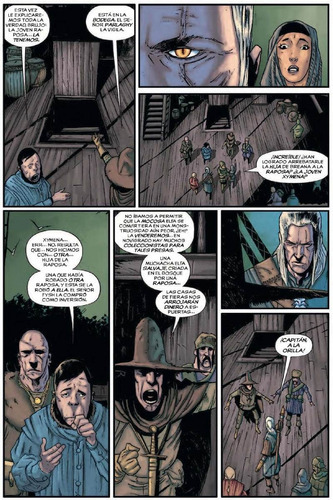 The Witcher 2: Hijas Del Zorro, De Tobin. Editorial Norma En Español