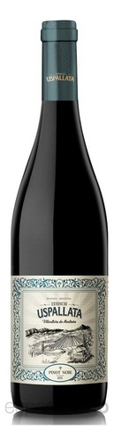 Vino Estancia Uspallata Pinot Noir 1x750 Ml 