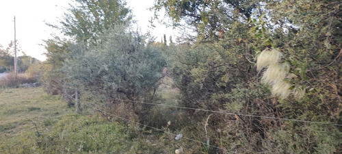 Imagen 13 de 16 de Lote De Terreno En La Cumbre