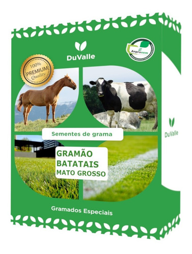 Sementes Grama Batatais Gramão Pastagem Jardim Campo - 5 Kg