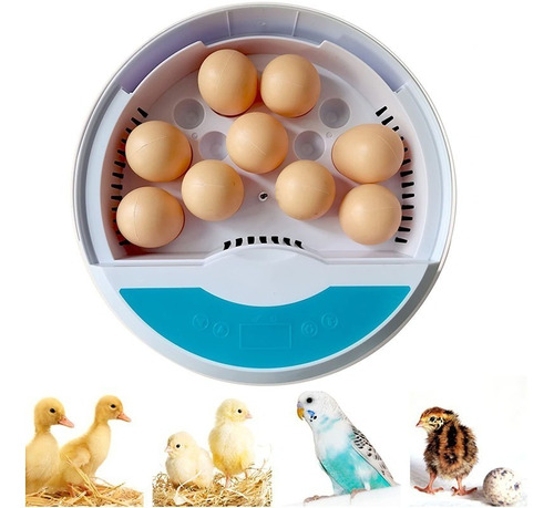 Incubadora Para 9 A 13 Huevos Control De Temperatura Led