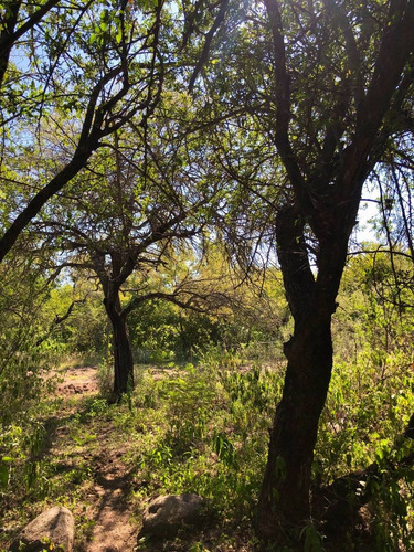 Imagen 14 de 24 de Lotes Con Escritura Desde 1556 M2 A 2365 M2 / Villa De Las Rosas - Traslasierra