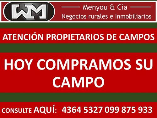Imagen 2 de 13 de Venta Compra De Campos De 200has A 2500has Forestal Ganadero