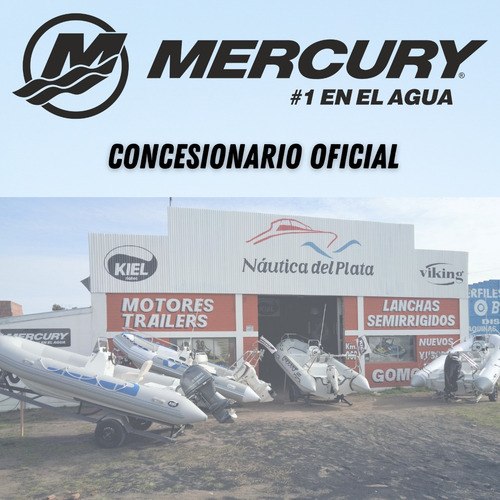 Lancha Nikita Open 5.20 Con Motor Mercury 50 Hp 4t Elpt