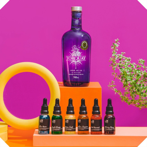 Combo Gin Torquay + 6 Xaropes Begin Spices