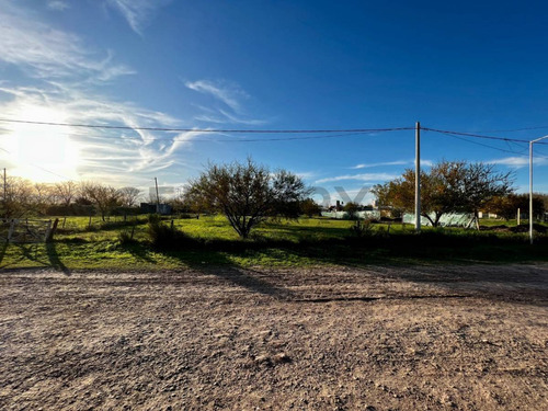 Venta Terreno 550m² En Luis Palacios