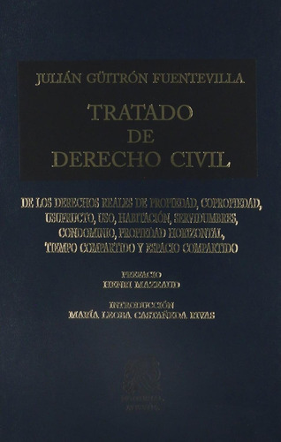 Tratado de Derecho Civil Tomo X: No, de Güitrón Fuentevilla, Julián., vol. 1. Editorial Porrua, tapa pasta dura, edición 1 en español, 2018