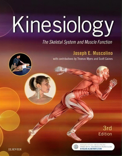 Kinesiology : The Skeletal System And Muscle Function, De Joseph E. Muscolino. Editorial Elsevier - Health Sciences Division En Inglés