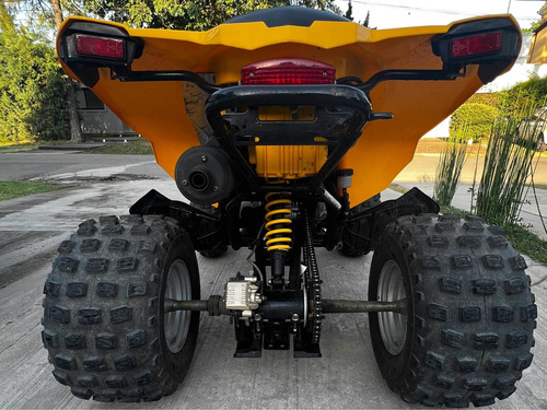 Imagen 6 de 23 de Cuatriciclo Can Am Ds 250 Ds250