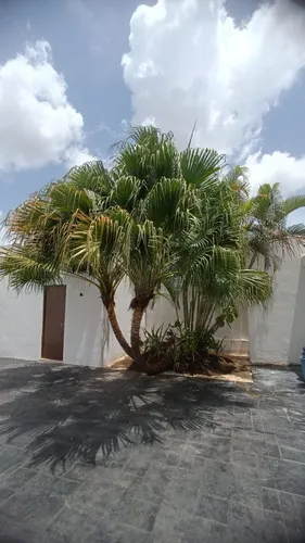 Nueva Residencia En Venta En San Pedro Cholul