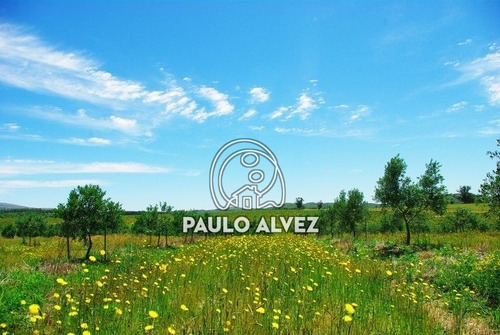 Imagen 26 de 30 de Chacras-venta-cerros-azules-ch071
