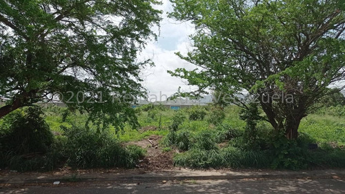 Imagen 8 de 12 de Terreno En Venta Corinsa Cagua 21-25380 Dperez