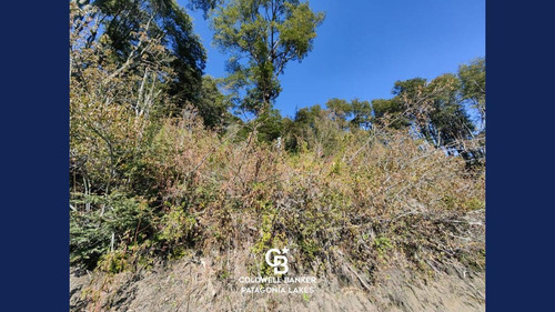 Imagen 14 de 23 de Venta Lote/terreno Fracción De 6500,24 M2 Vista Al Lago Faldeo Del Bayo Villa La Angostura