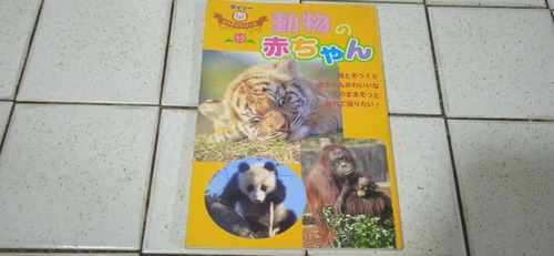 Animales Bebés En Japonés
