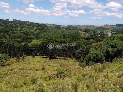 Imagem 15 de 15 de Terreno - Barragem Do Salto - Ref: 359235 - V-359235