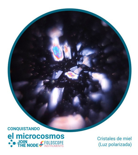 Imagen 6 de 9 de Foldscope, Advanced Kit