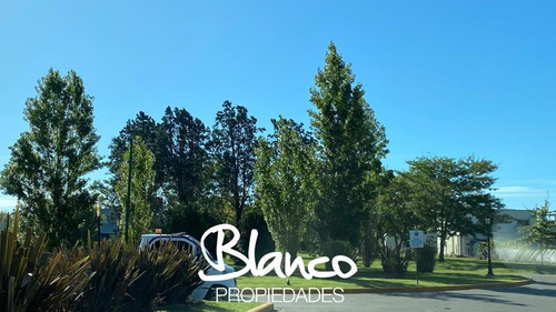 Imagen 6 de 11 de Oportunidad! Gran Lote De 785 Metros En Pilar Del Este - Santa Guadalupe