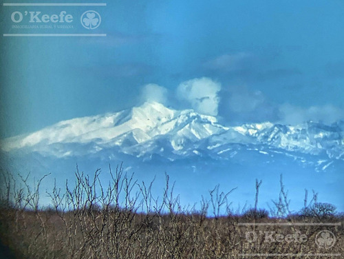 Campo De Cría/recría 74.000 Has. Para 8800 Madres, Armado En Mendoza