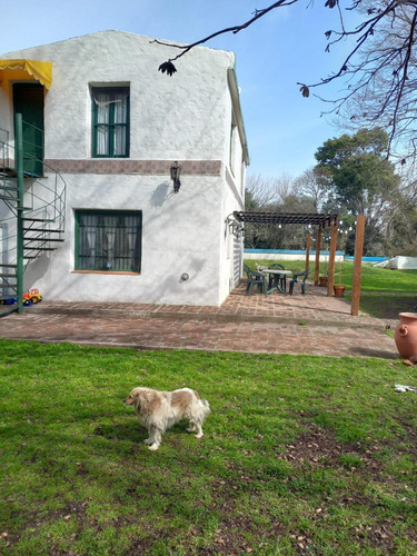 Terreno En Venta - 20.000mts2 - Mechita, Alberti